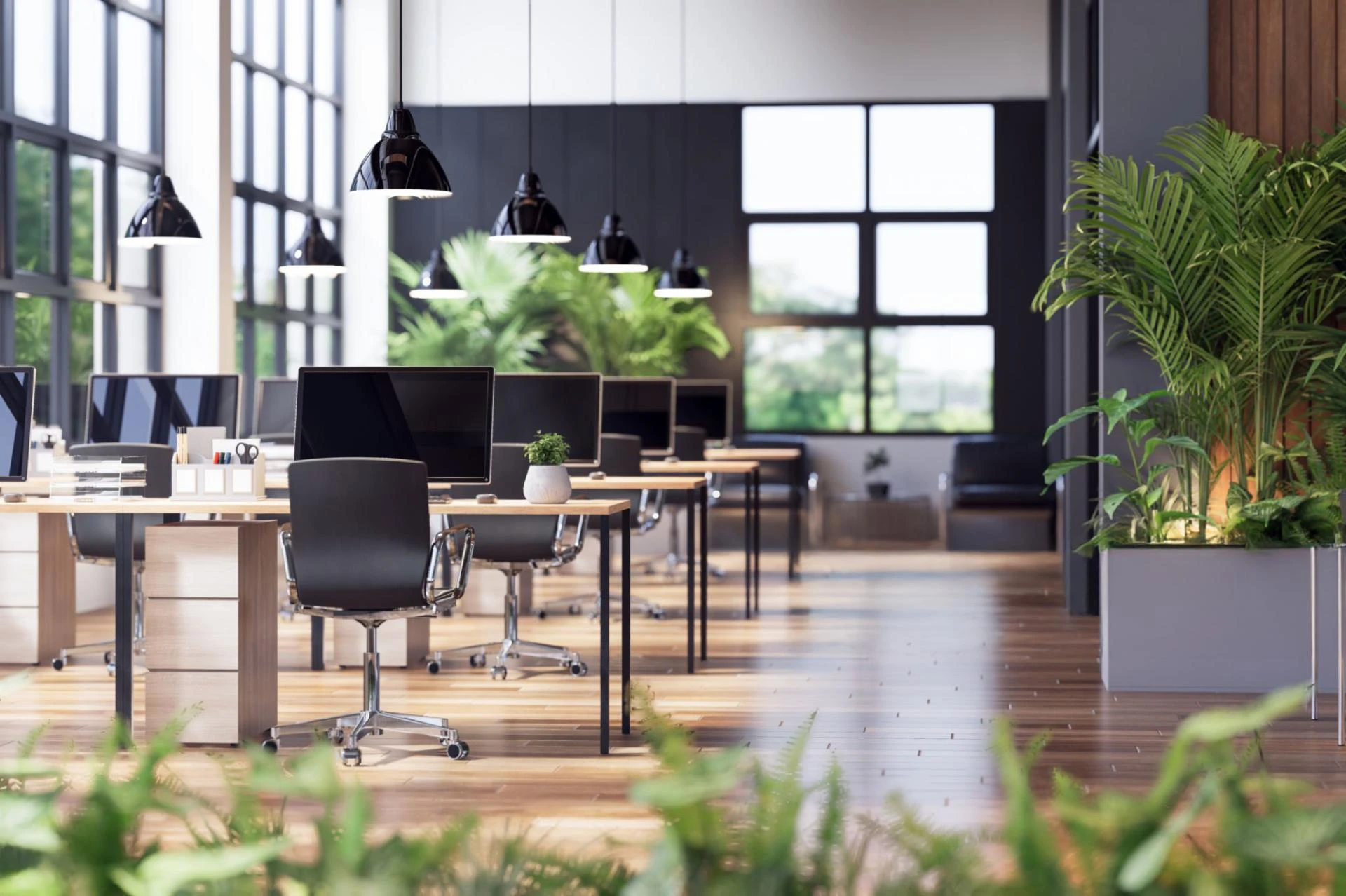 Sparkling Spaces, Stress-Free Living: Why Professional House Cleaning Services Are the Secret to a Happier Home