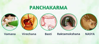 Panchakarma Basti Therapy for Vata Dosha: Natural Relief for Arthritis & Sciatica