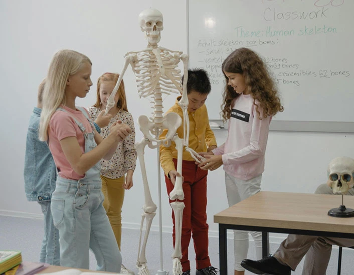 Learn Smarter with Experienced Biology Tutors Online