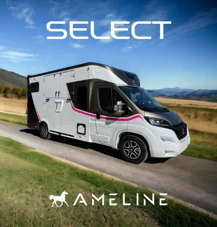 How to Choose the Best Horse Boxes for Sale