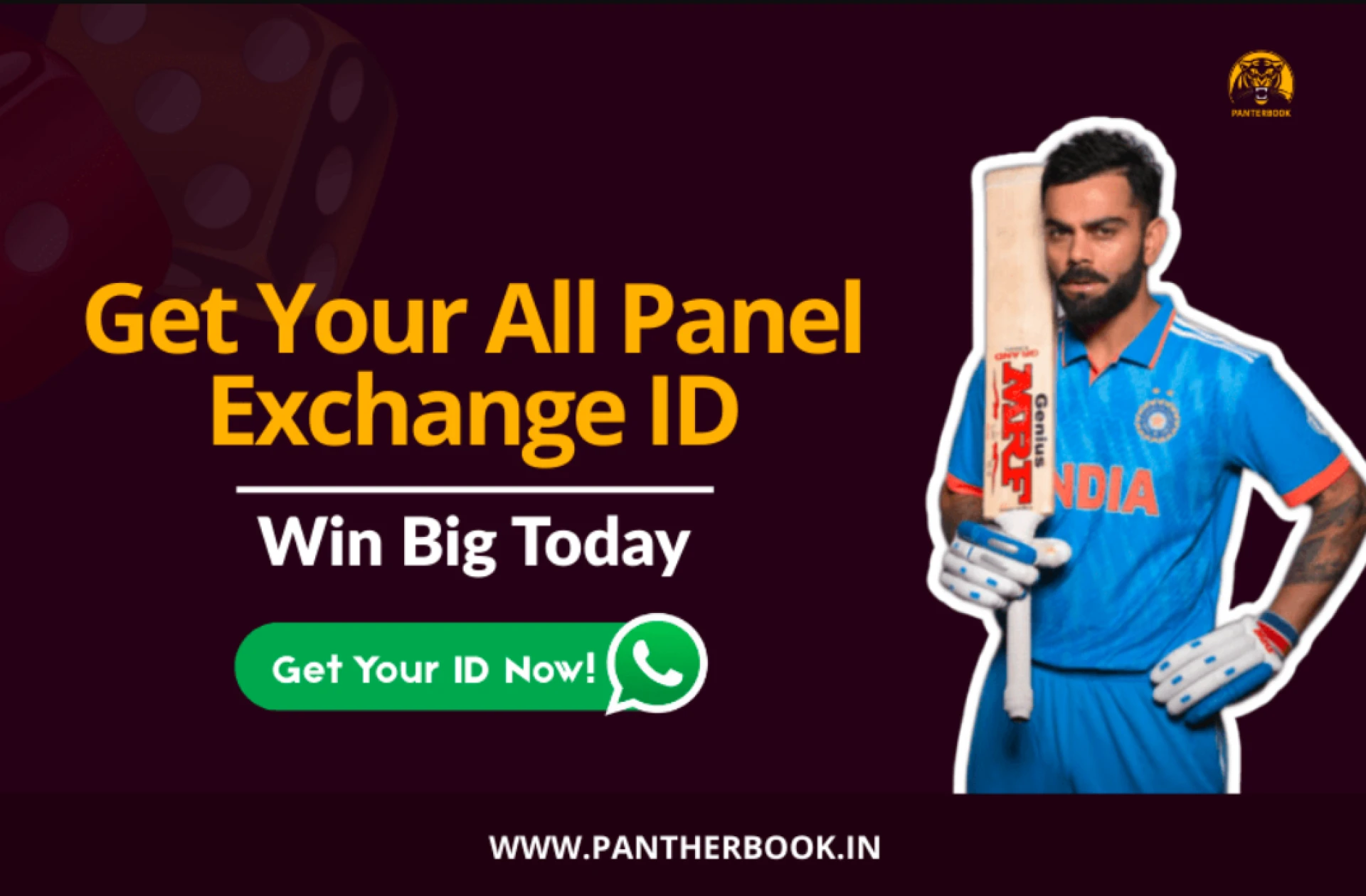 All Panel Exchange – Complete Guide to Getting Started with PantherBook