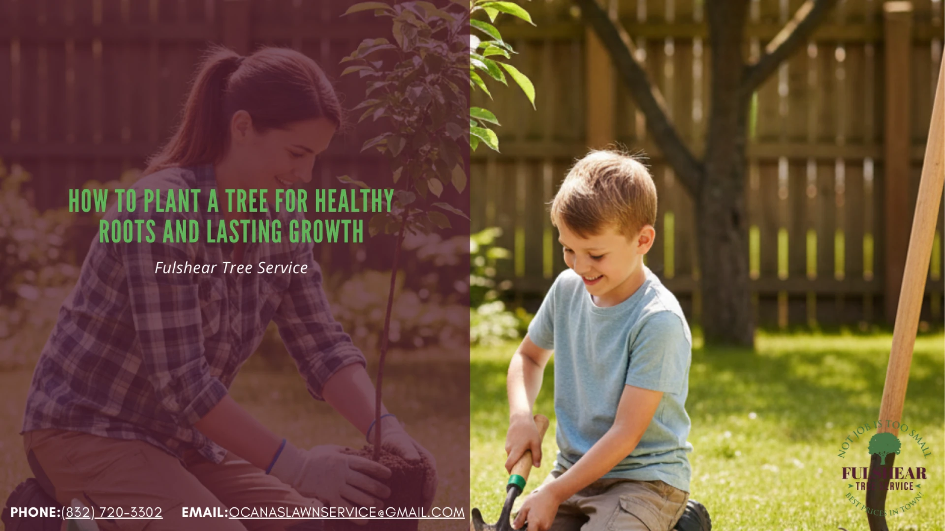 How to Plant a Tree for Healthy Roots and Lasting Growth