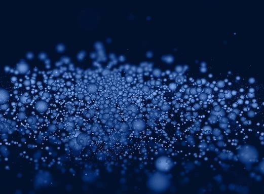 How Ozone Nanobubble Treatment Transforms Bubble Tank Oyster Farming