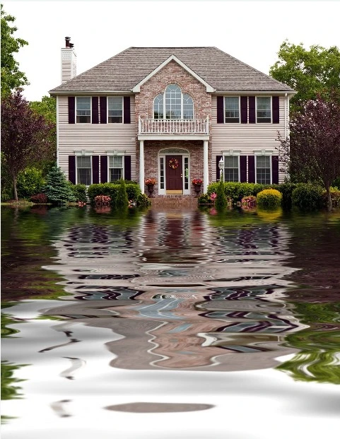 Why Smart Homeowners in Pinellas Park Rethink Insurance Before Renewal