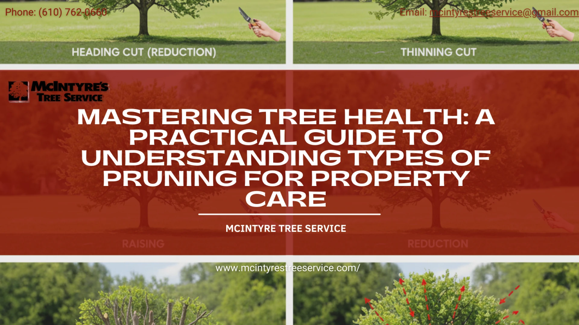Mastering Tree Health: A Practical Guide to Understanding Types of Pruning for Property Care