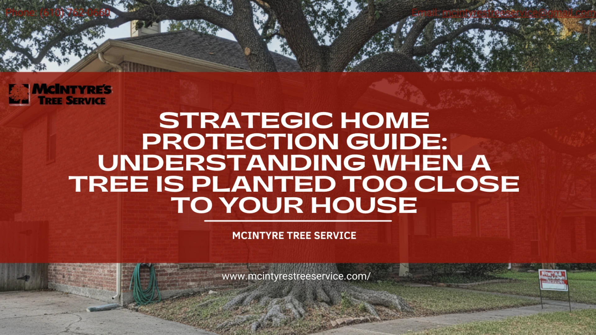 Strategic Home Protection Guide: Understanding When a Tree Is Planted Too Close to Your House
