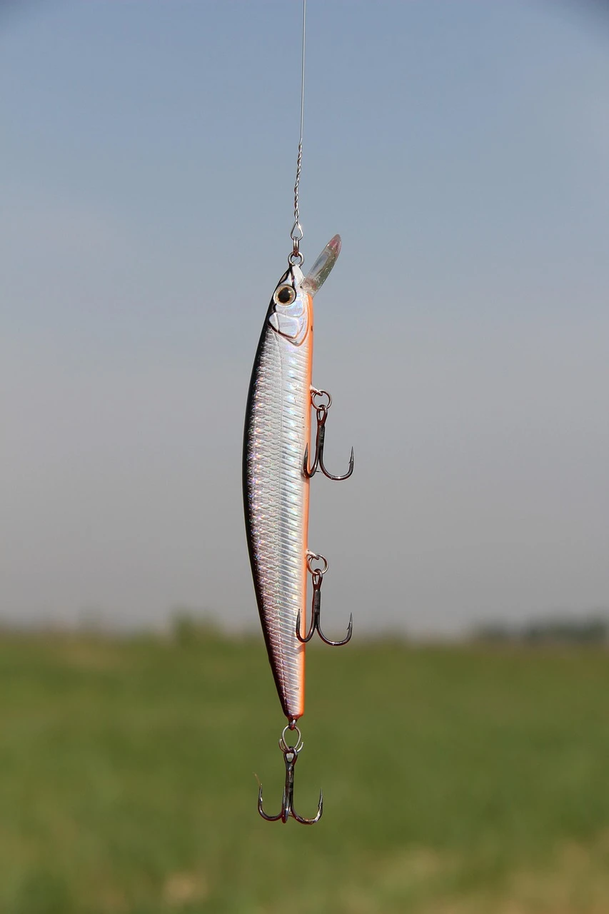 Fishing Lures for Sale: Find the Best Deals on Top Quality Lures and Reels.