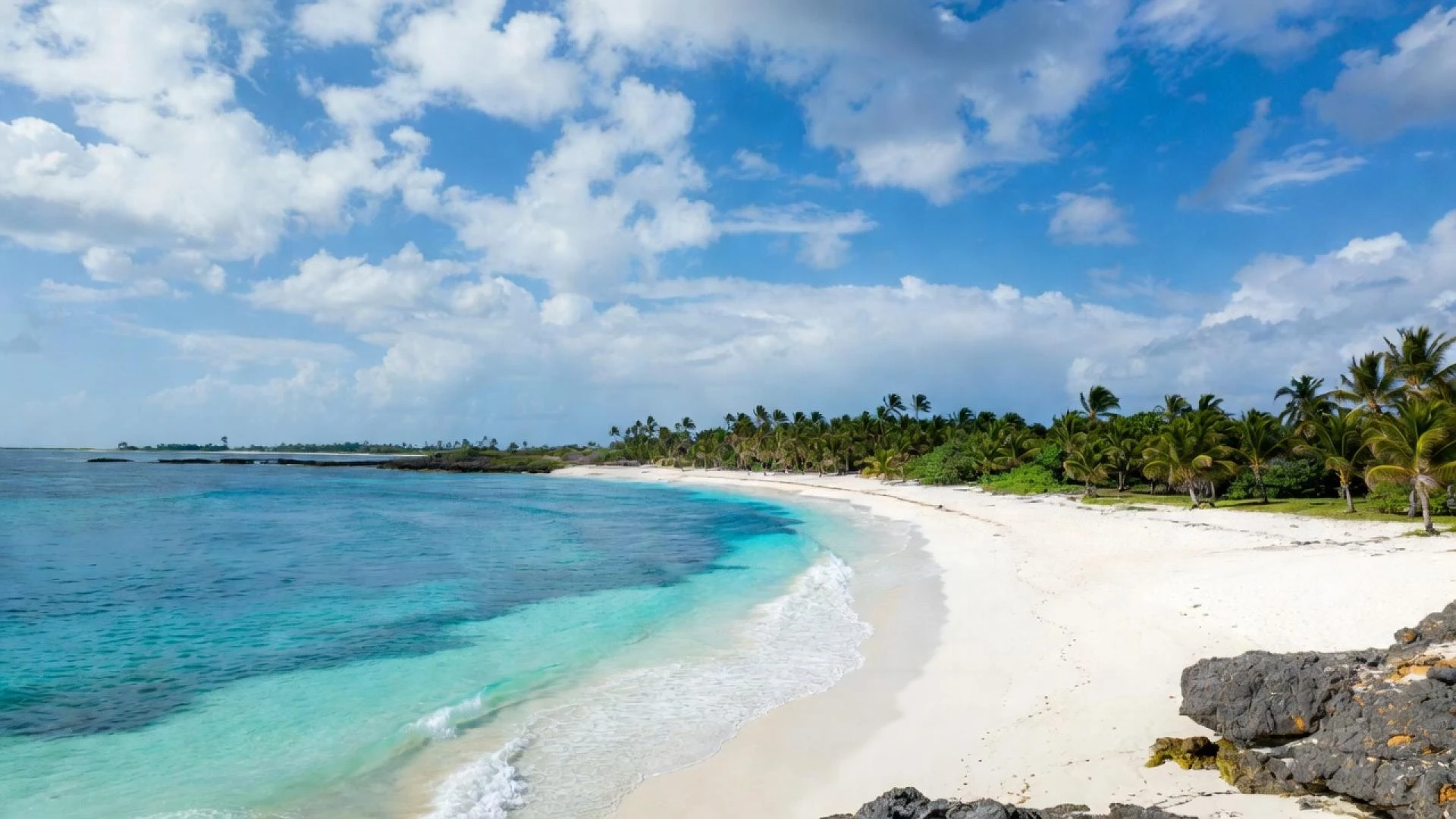 Why Aruba Should Be Your Next Vacation Destination: Flights and Travel Guide