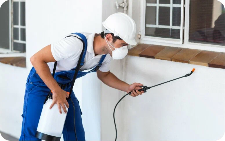 Pest Control Services Crete IL | Reliable Local Pest Experts