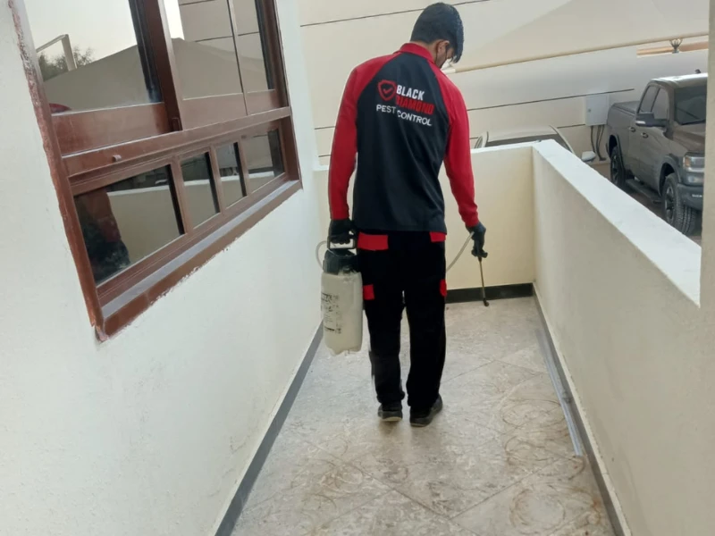 Pest Control Near Me Abu Dhabi | 24/7 Experts