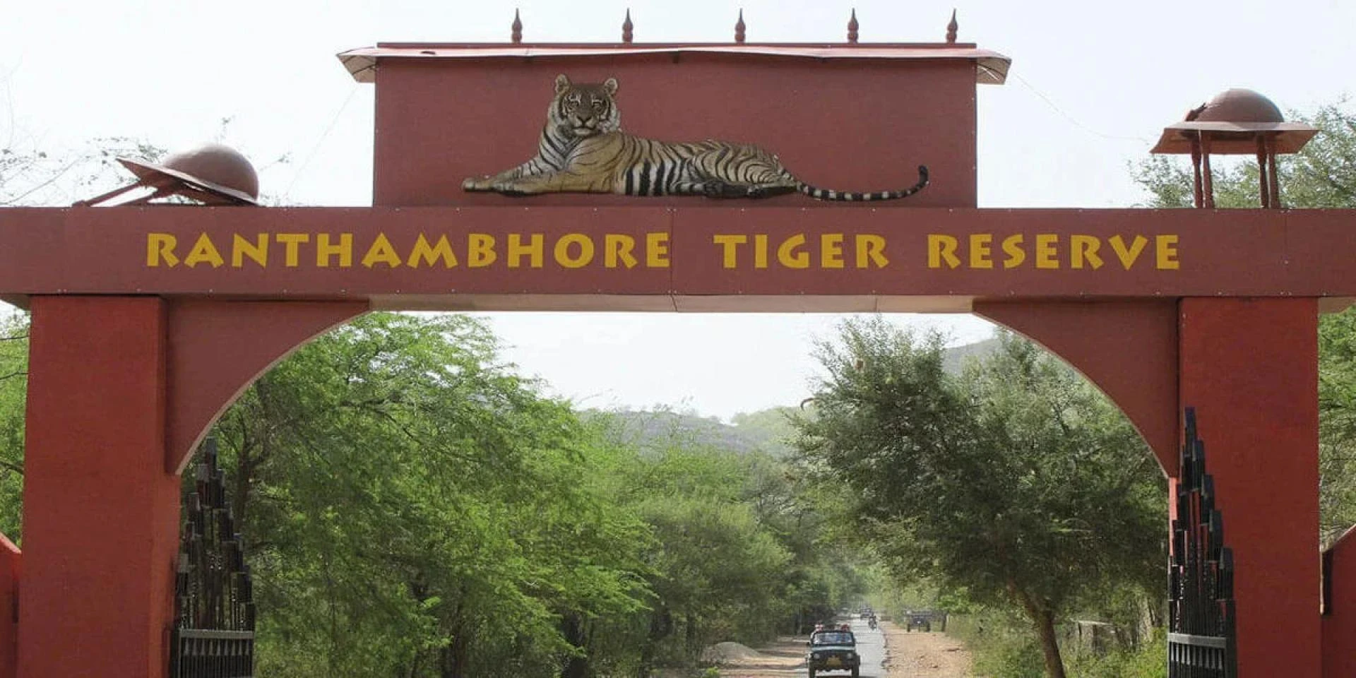 Into the Wild: Why Ranthambore National Park Should Be Your Next Adventure