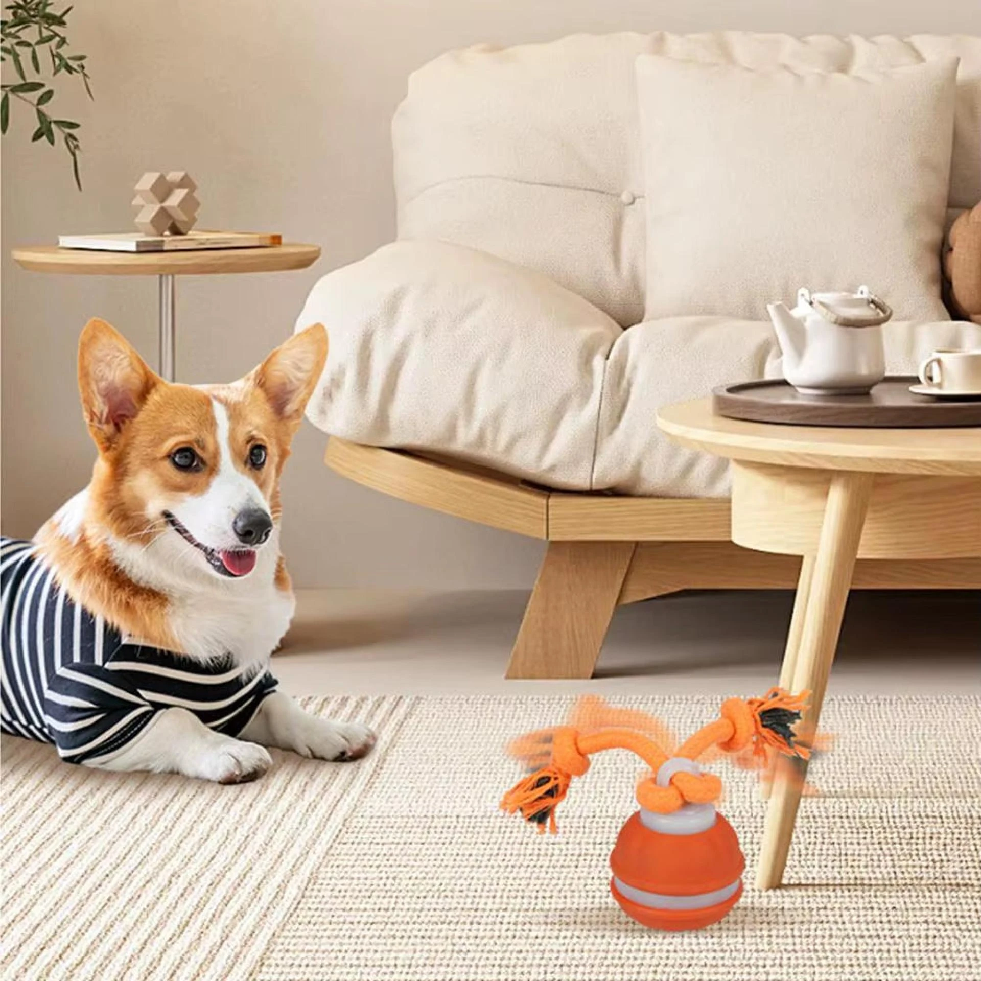 The Best Interactive Dog Toys for Happy Pups