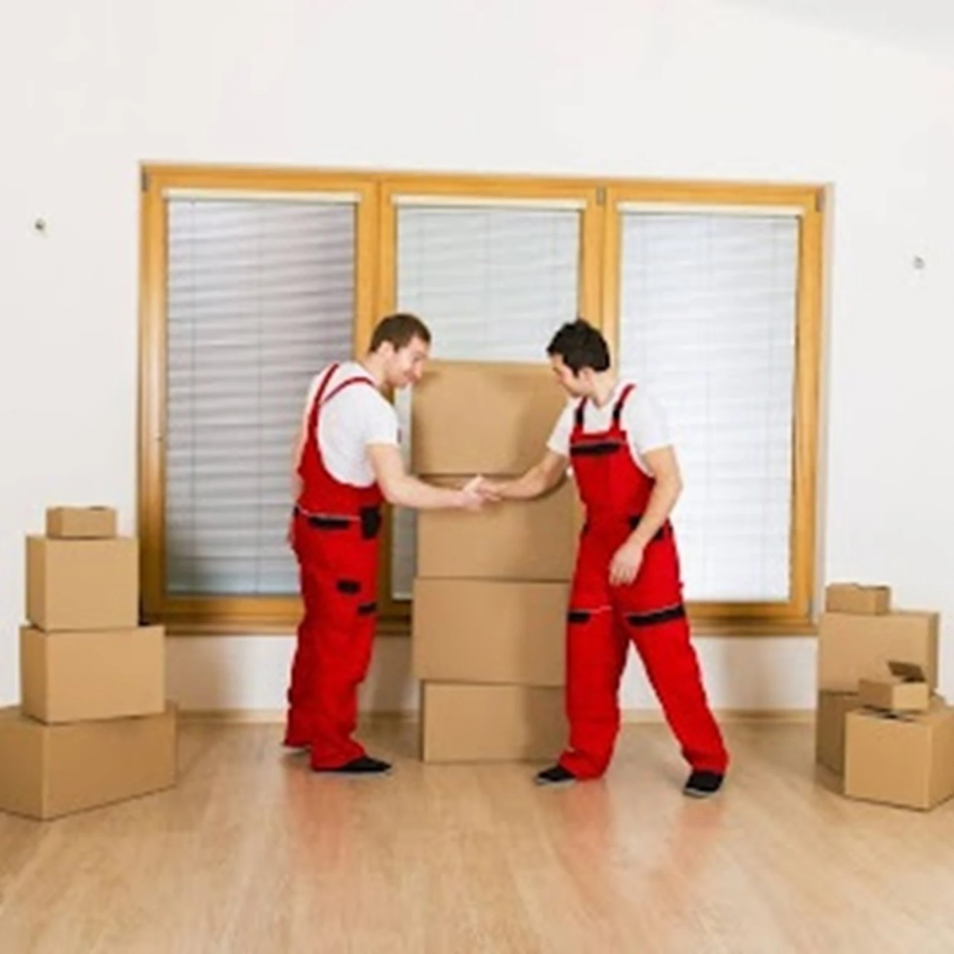 Professional Packing, Transport, and Unpacking Solutions: A Complete Guide