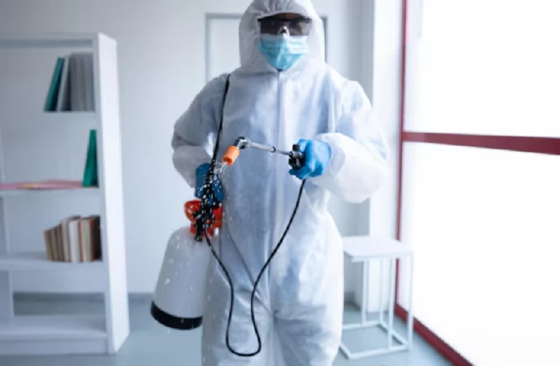 Fly Exterminator Near Me: How to Choose the Right Pest Control Service