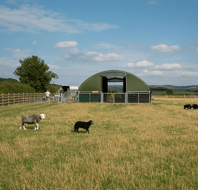 How an Agricultural Shed Improves Farm Storage and Workflow