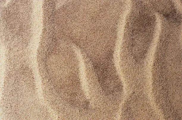 Zat Compound: The Art of Living Beautifully