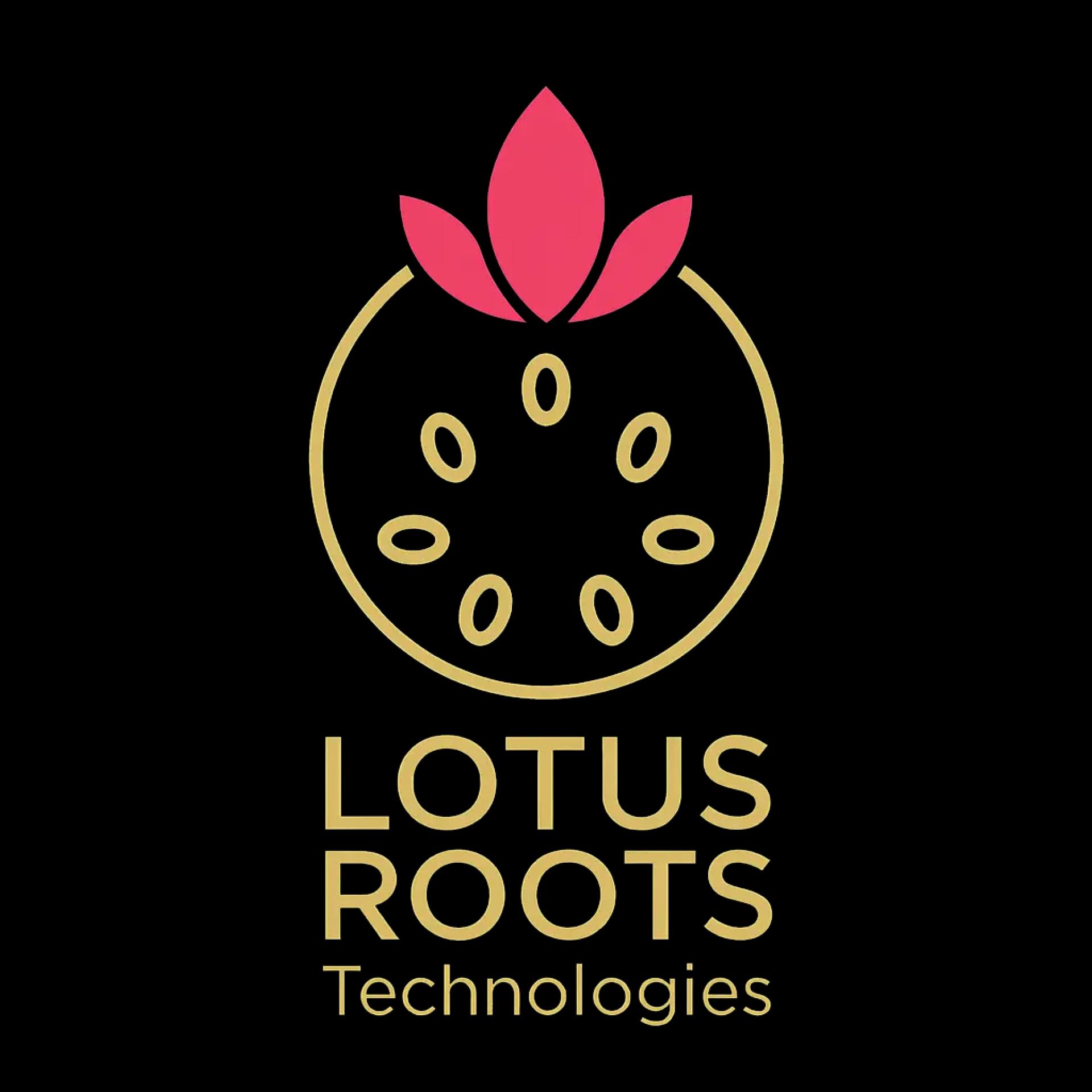 Building Information Modeling Services | Digital Construction Excellence by Lotus Roots Technologies Ltd.
