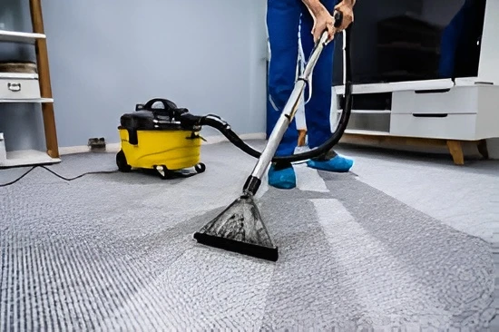 How to Choose the Right Professional Carpet Cleaning Company