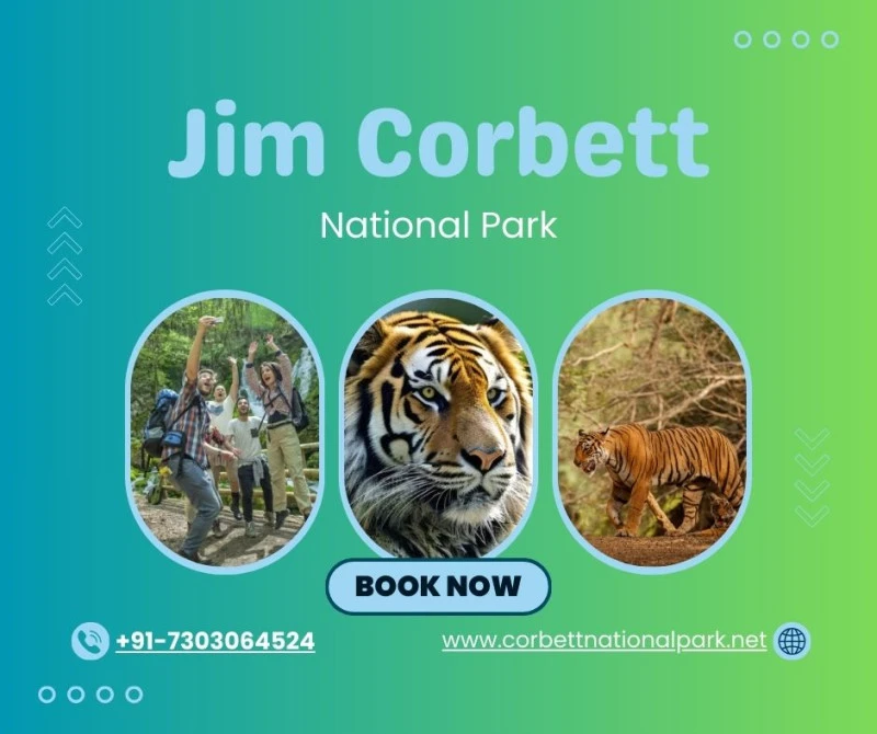 Safari Booking in Jim Corbett Plan Your Ultimate Wildlife Adventure
