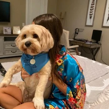 South Tampa Dog Grooming Insights Today