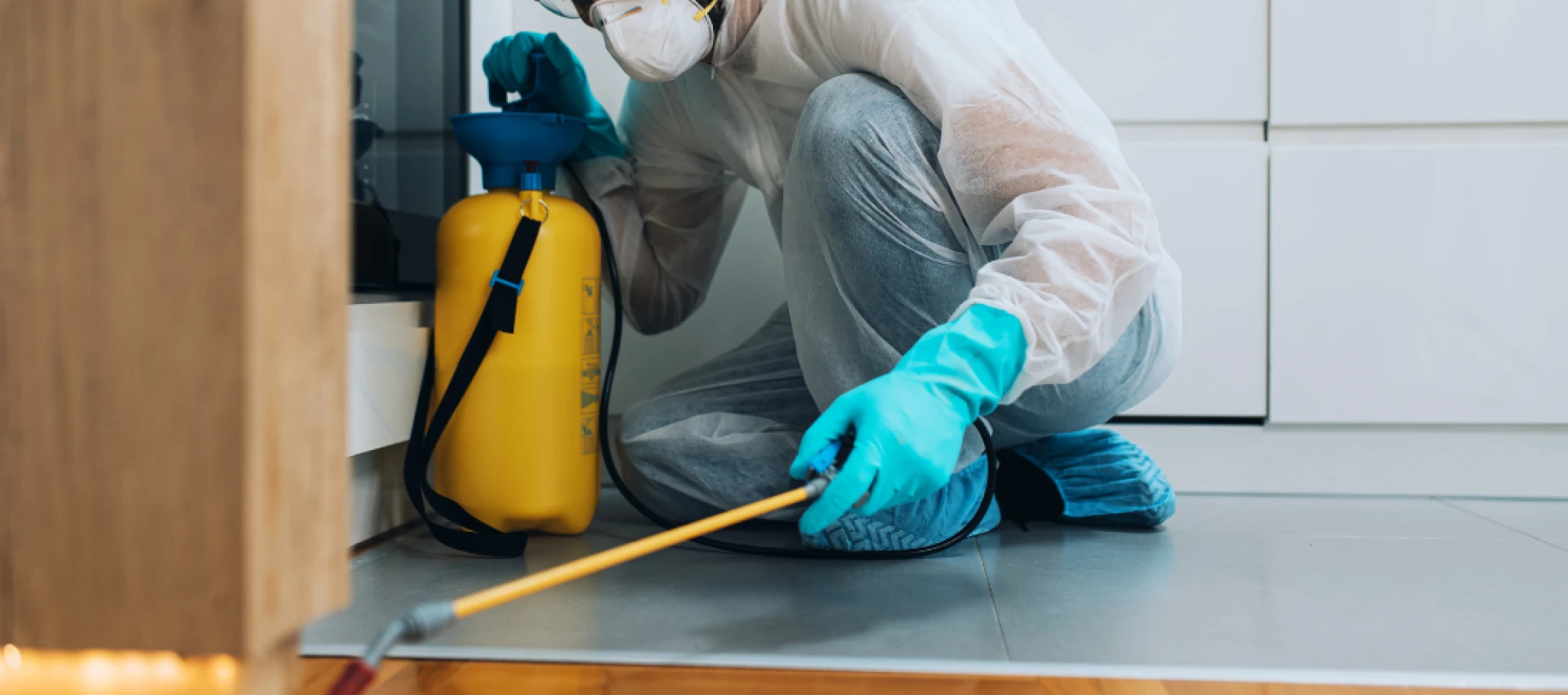 Bed Bug Control Crete IL – Keep Your Home and Business Pest-Free