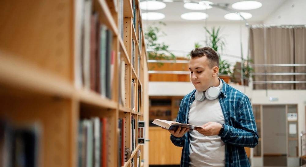 Where to Buy Children’s Story Books Online: Discover The Napping Couch Today!