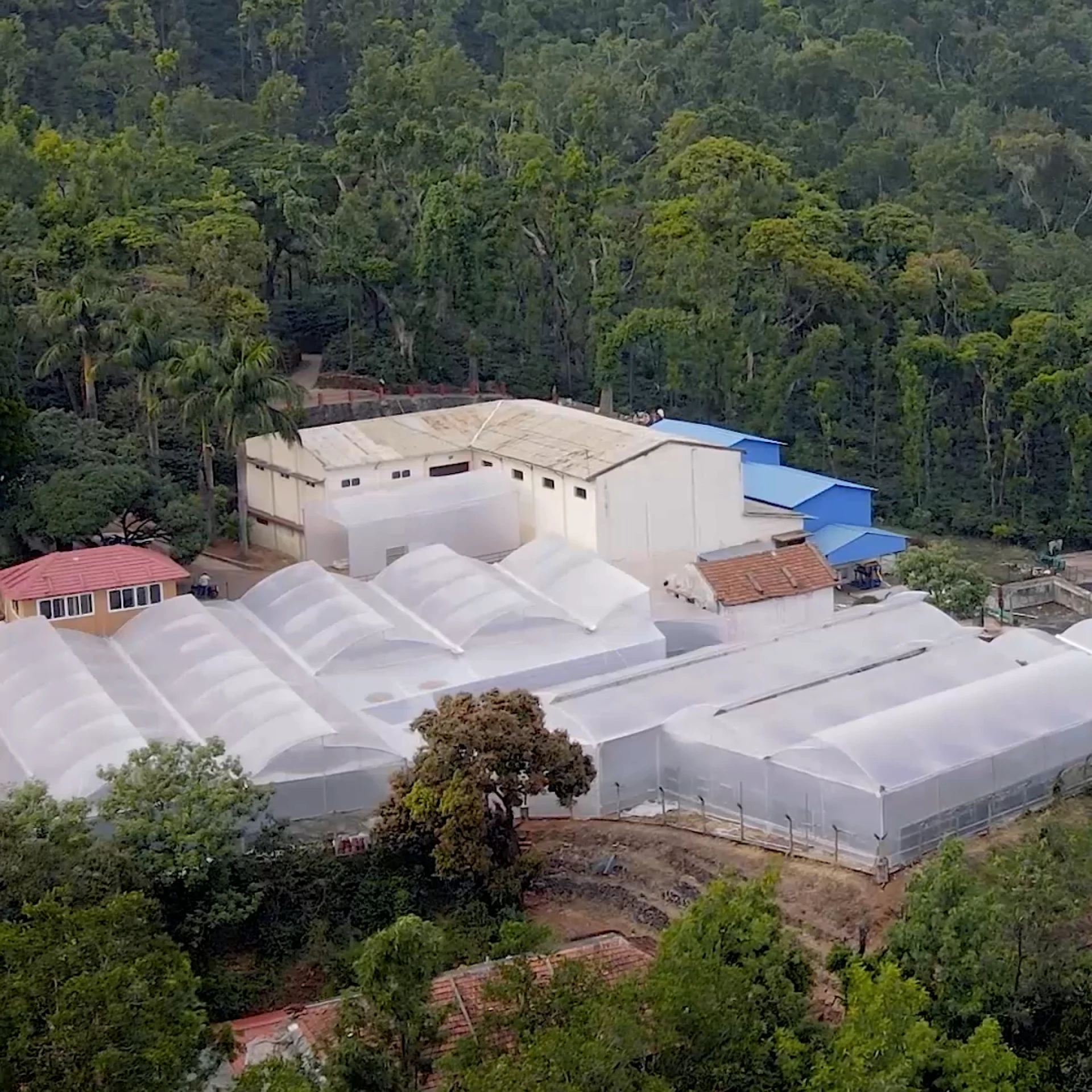 Best Instant Coffee in India 2026: Coffeeverse Premium Blends