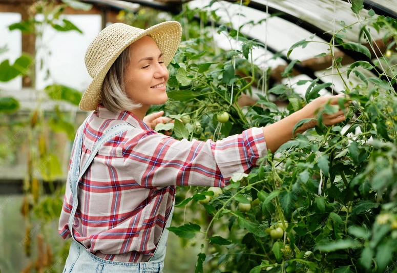 Applications of Plant Protection Nets