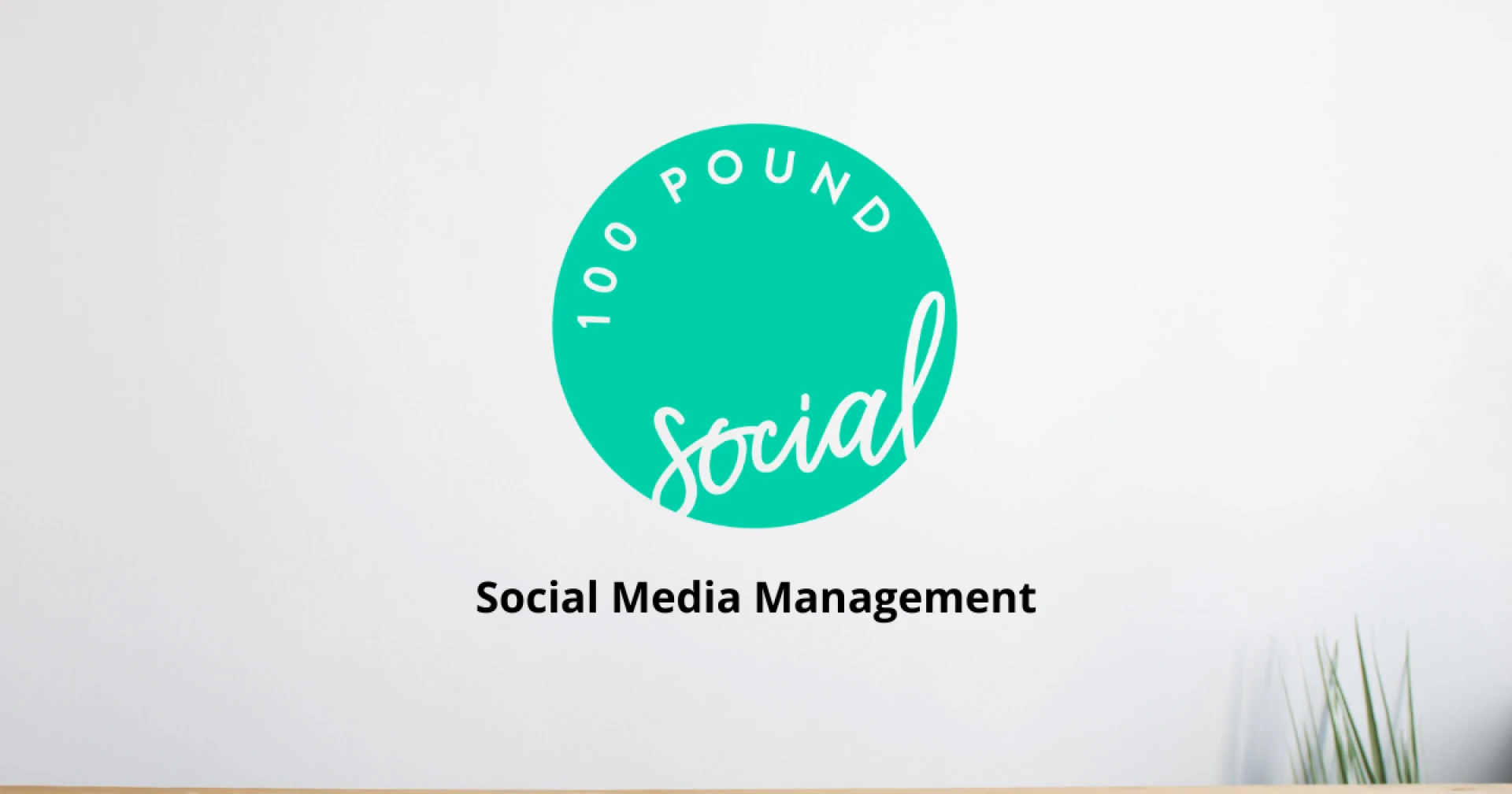The Complete Guide to Grow Your Business Using Social Media Management Services
