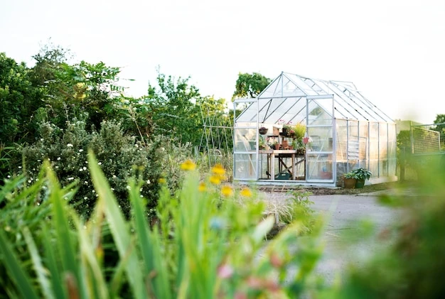 Backyard Greenhouse Solutions: Your Key to Fresh Homegrown Produce