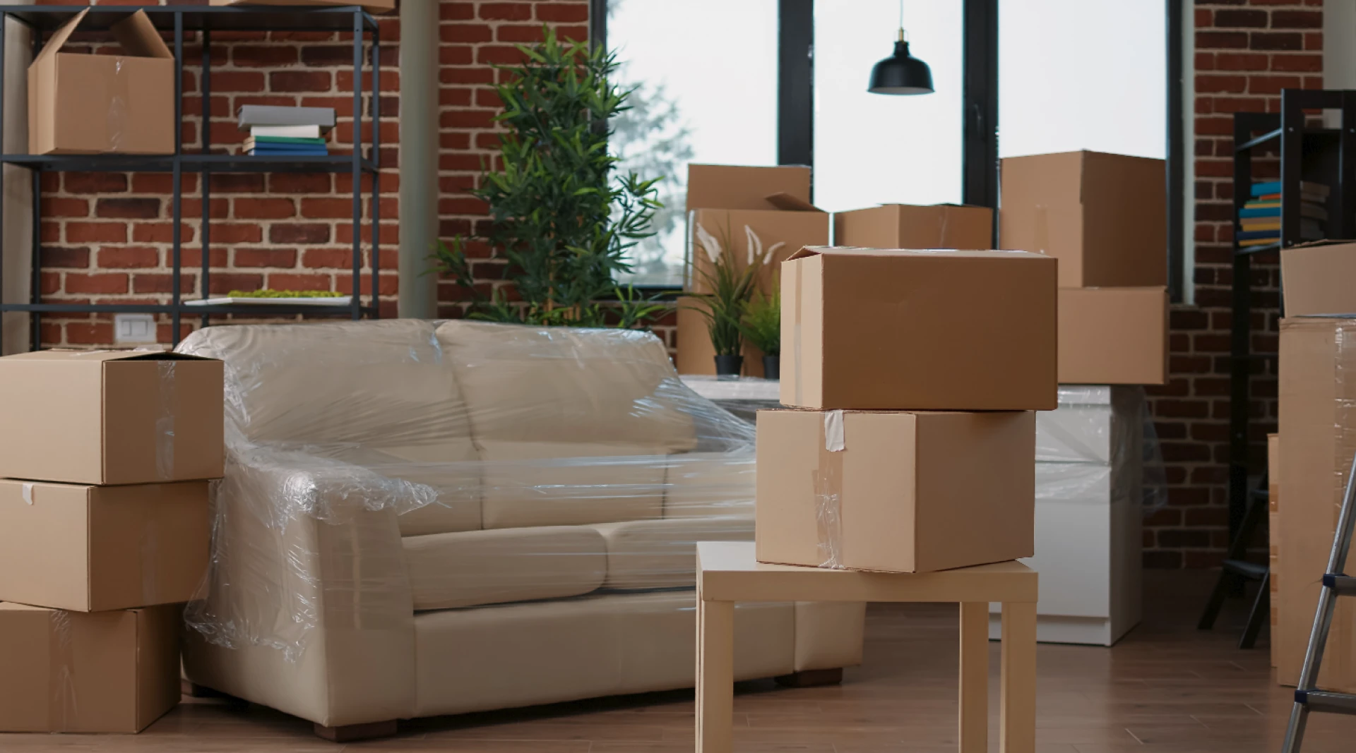Choosing Reliable Office Removalists for Your Business