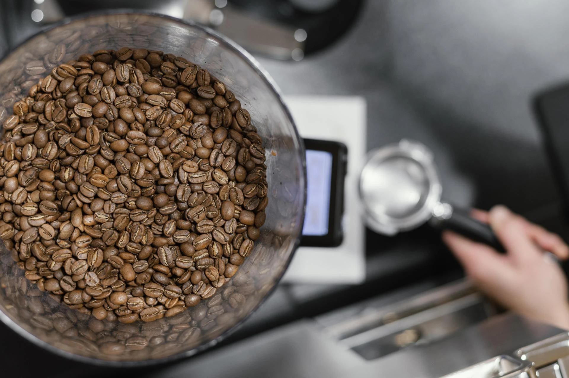 Wholesale Coffee Beans in Austin, TX: A Complete Guide for Cafés, Restaurants, and Businesses