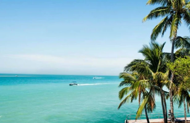 Find Your Dream Property with Florida Keys Real Estate & Homes for Sale