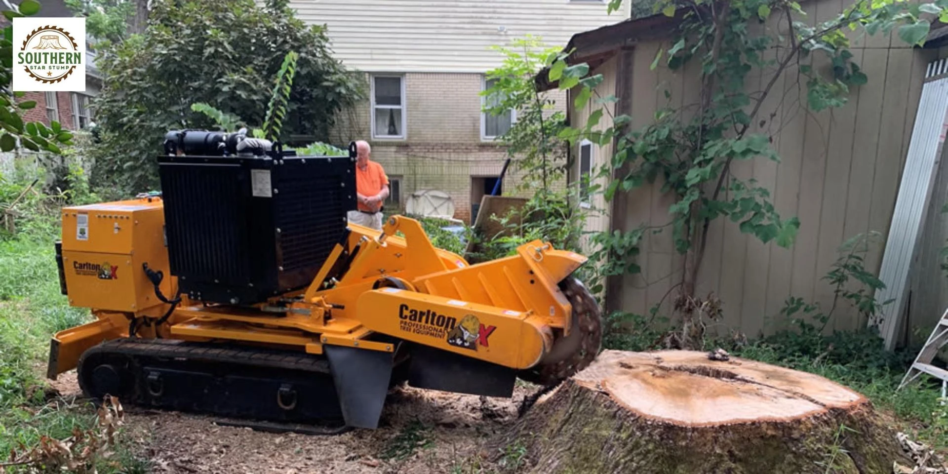 Why Professional Tree Stump Removal Is Essential for a Cleaner and Safer Landscape