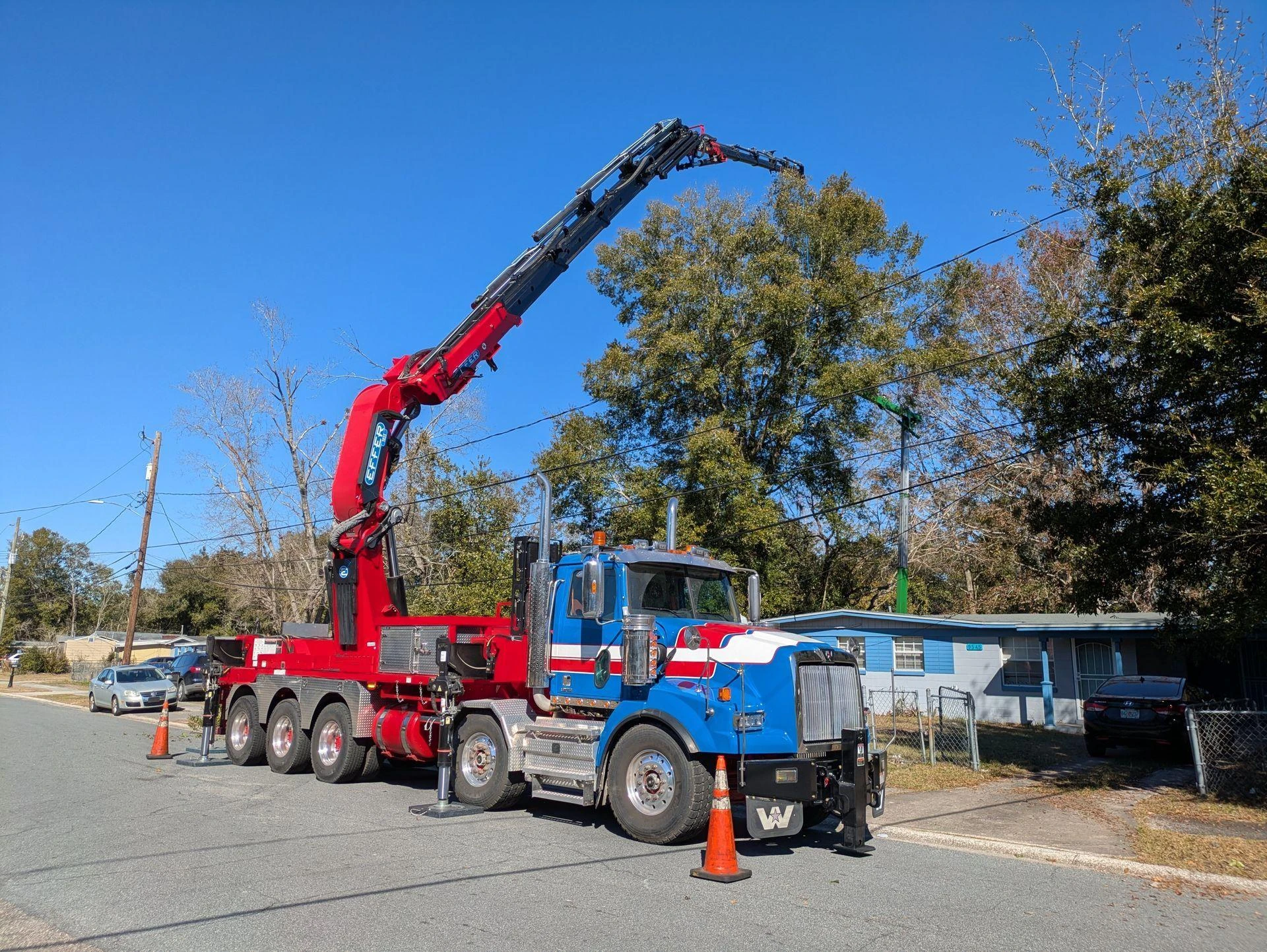 How to Know When a Tree Has Become a Serious Liability?