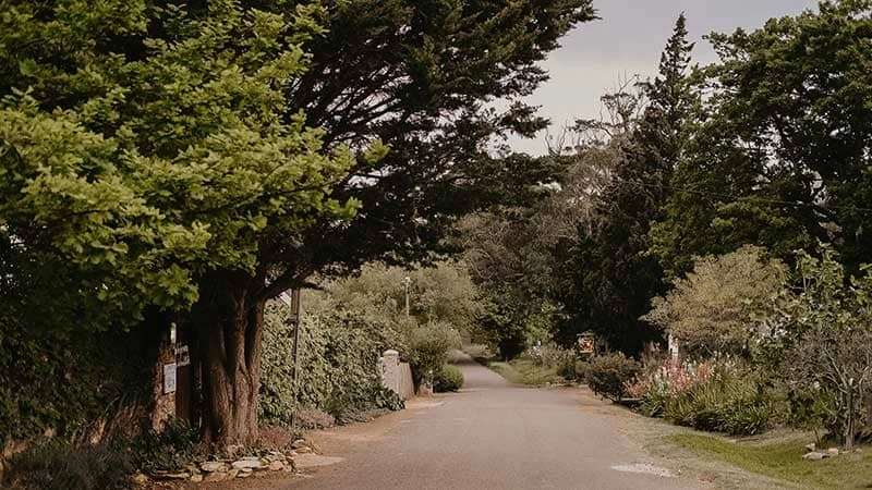 Discover the Beauty of South Africa with Green Mountain: A Complete Travel Guide for Visitors from the UK, Germany, USA, Australia, Holland, and Irela