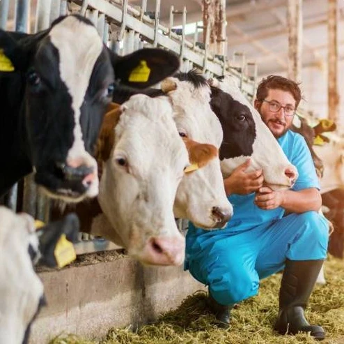 Top 10 Veterinary Medicine Companies In India: Leading Solutions by UK German Pharmaceuticals