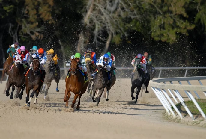 Daily Australian Horse Racing Tips to Improve Your Betting Success