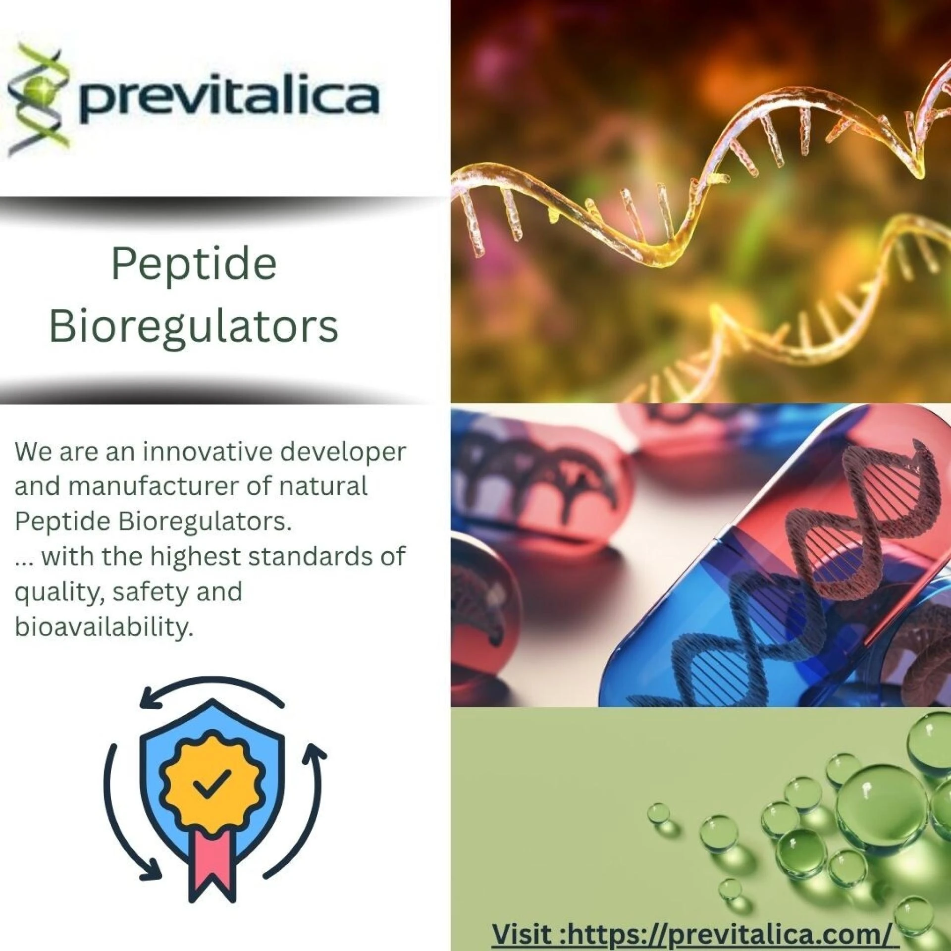 Supporting Wellness with Organ Peptides for Better Vitality