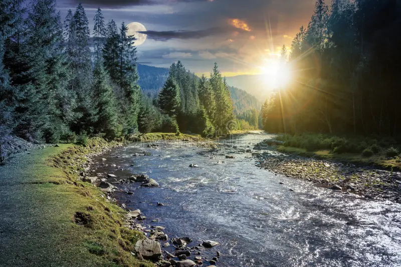 How can you optimize underperforming ad campaigns Salesforce AP-214 exam