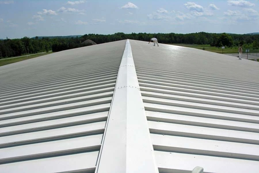 Roofing Services Bronx: Protecting Your Home and Business