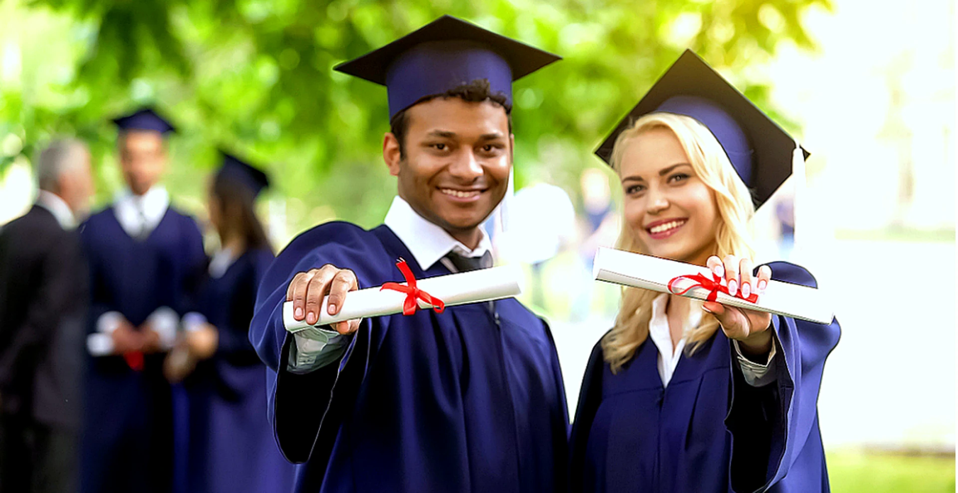 Top Universities in India for B Tech CSE: Why Shoolini University Stands Out