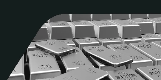 Invest In Silver ETFs With Rush | Seamless Silver Exchange