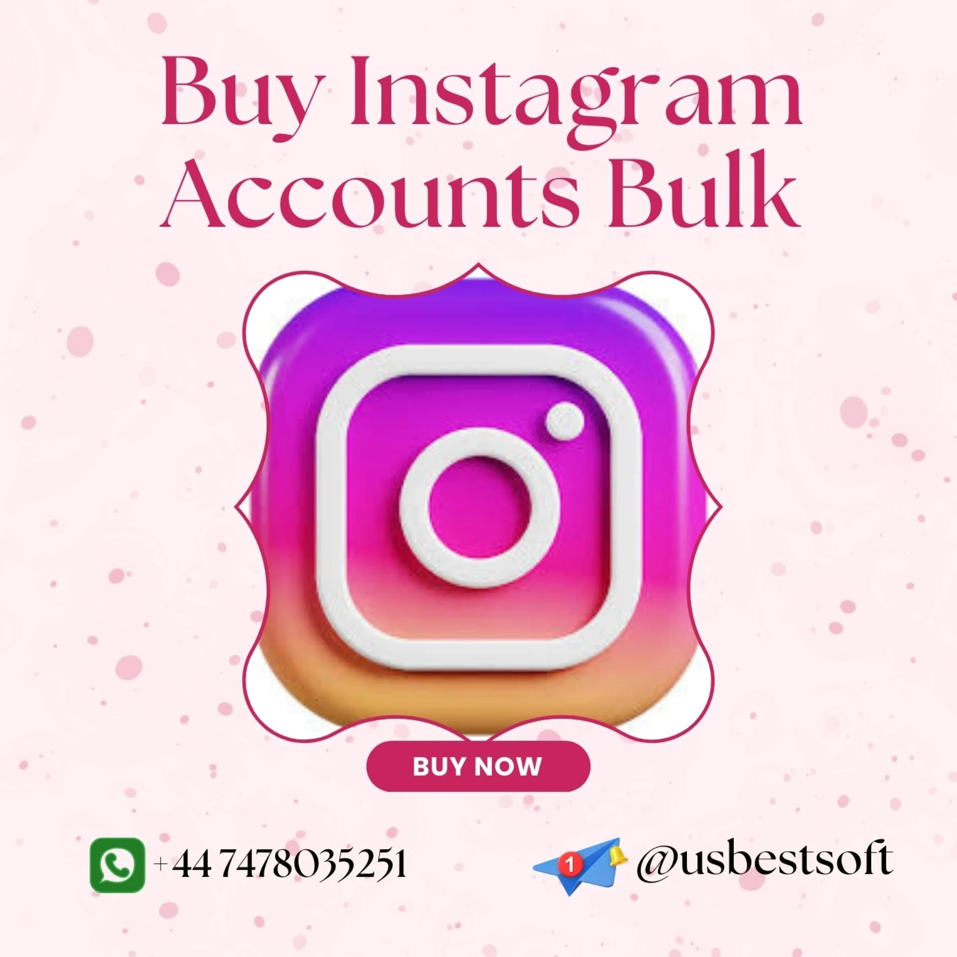 Affordable Bulk Instagram Account Purchases for UK Users