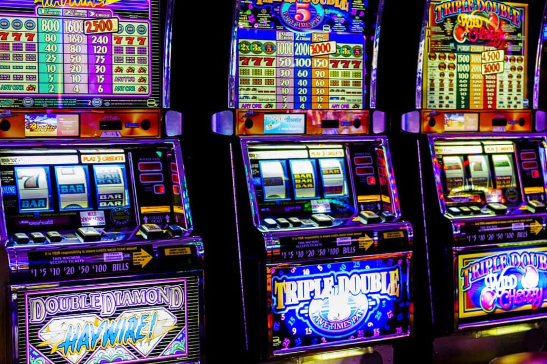 코인 스나이퍼 보유 및 승리