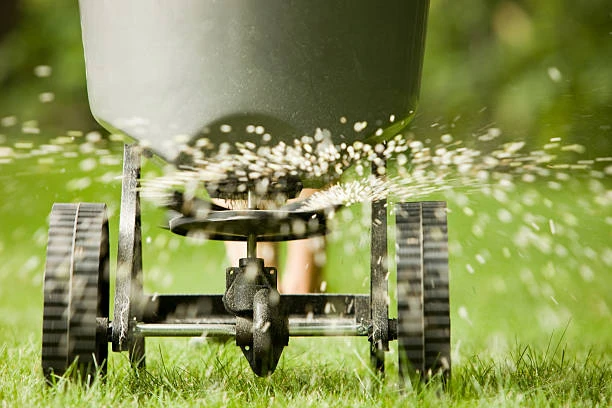 How Often Should You Schedule a Lawn Fertilization Service for Best Results?