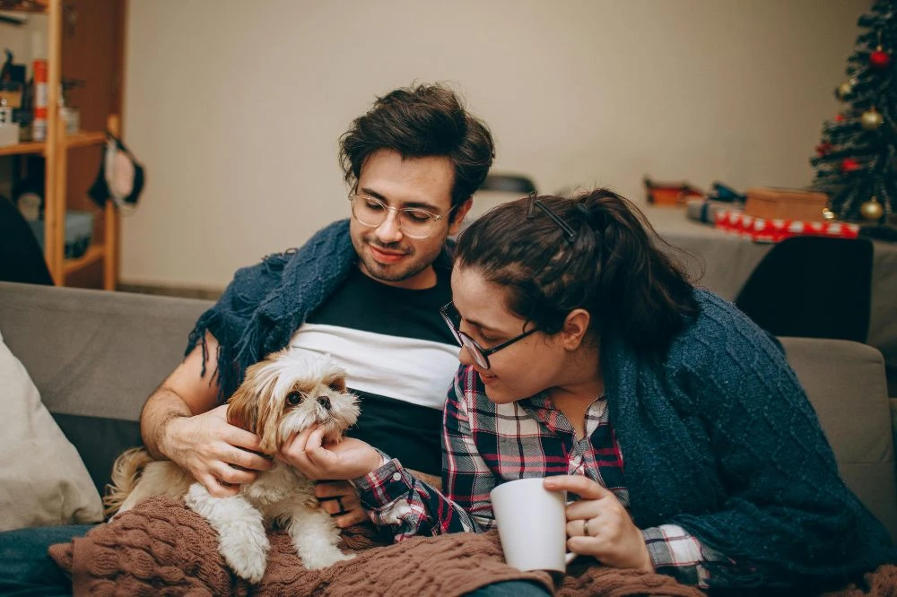 Top Services Offered by a 24/7 Pet Clinic in Dubai