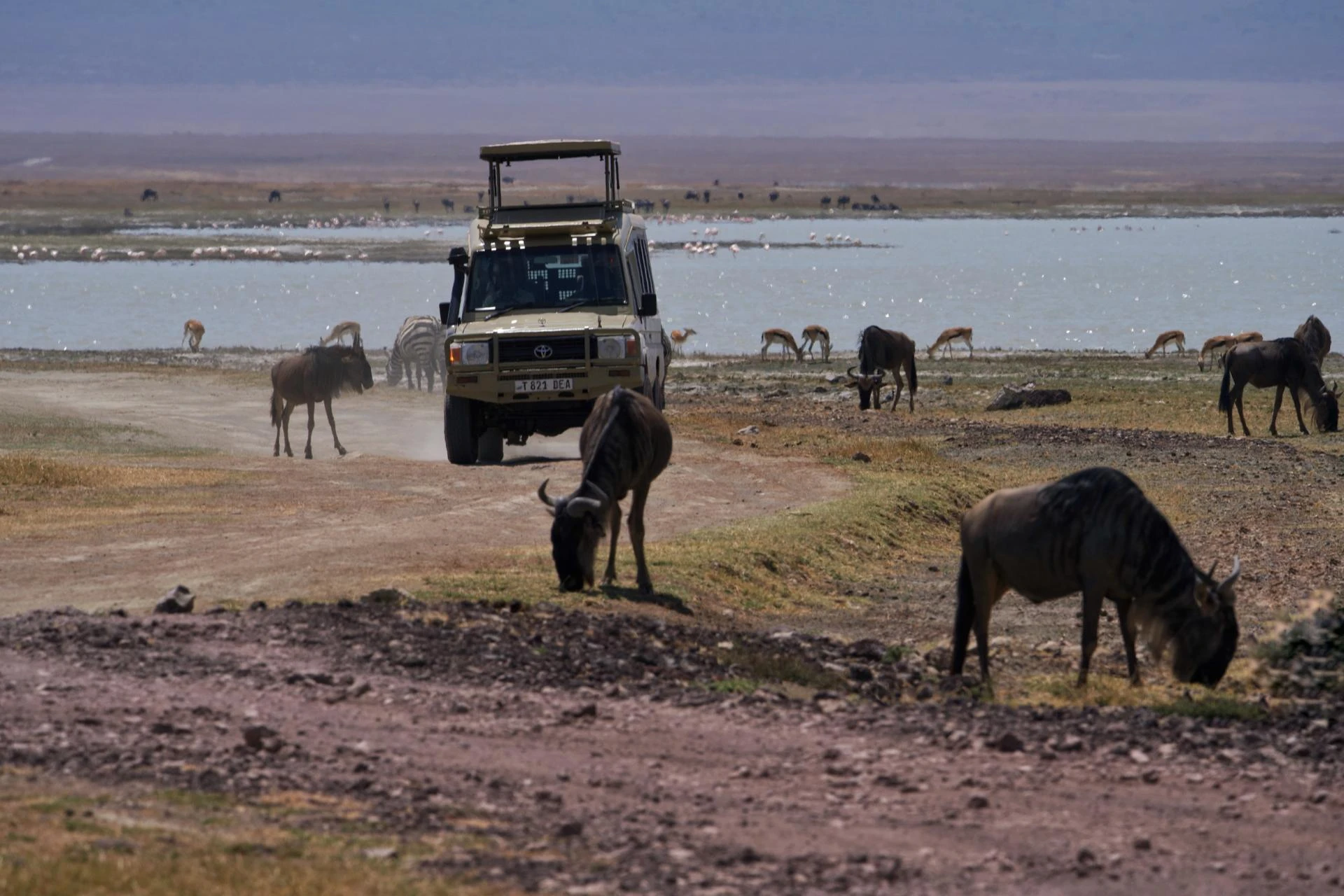 Namibia eVisa explained for Travellers from Botswana