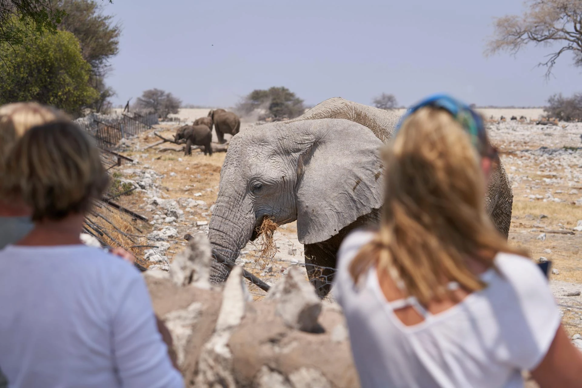 Namibia eVisa for Tourists from the Netherlands