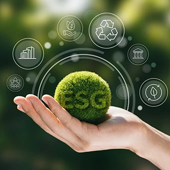 Achieving Sustainable Development Through Net Zero Building Certification